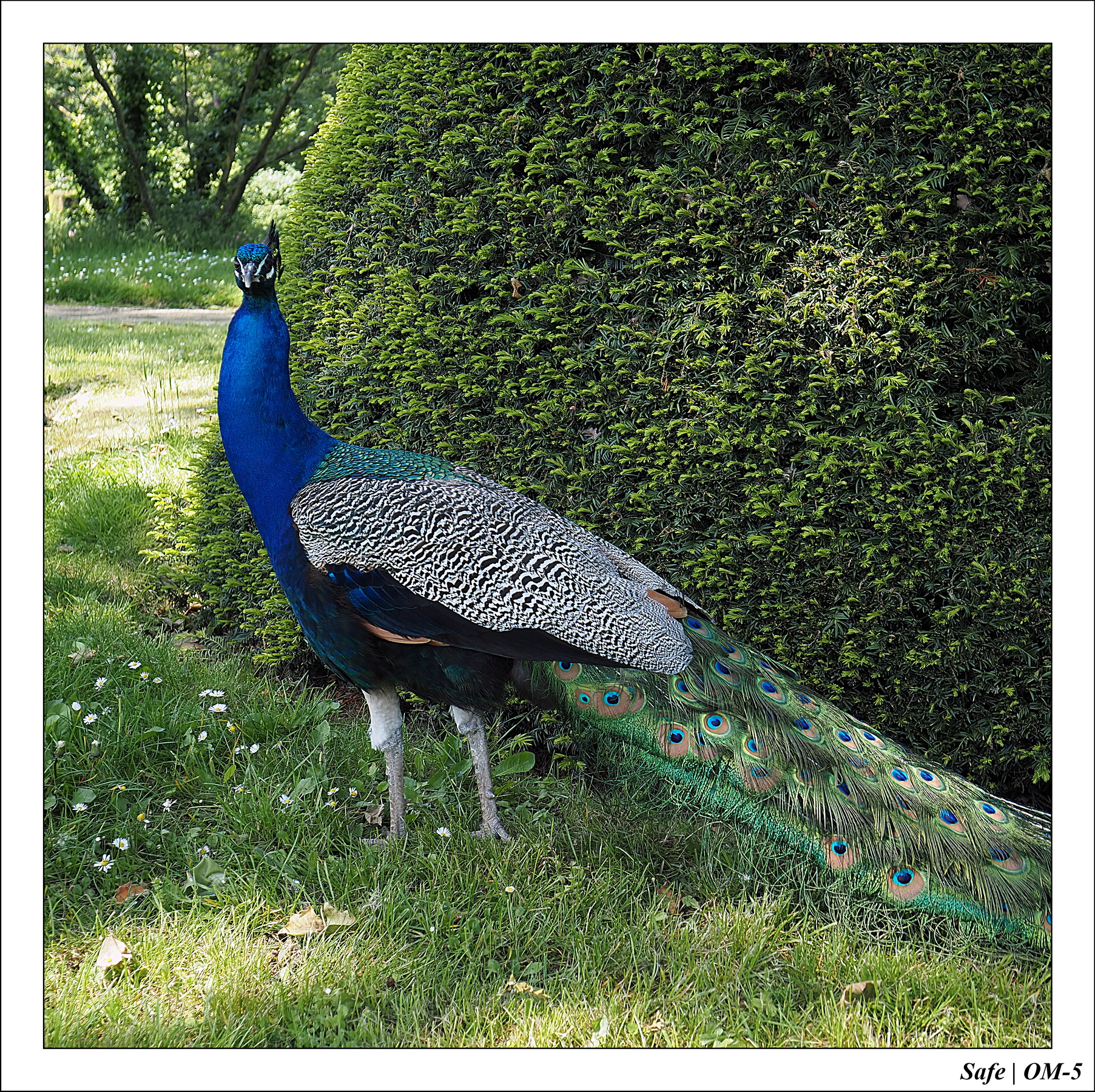 2024 - 05 - Bagatelle - 06